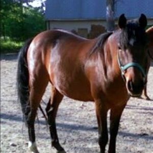 Meet your Posher, Sue